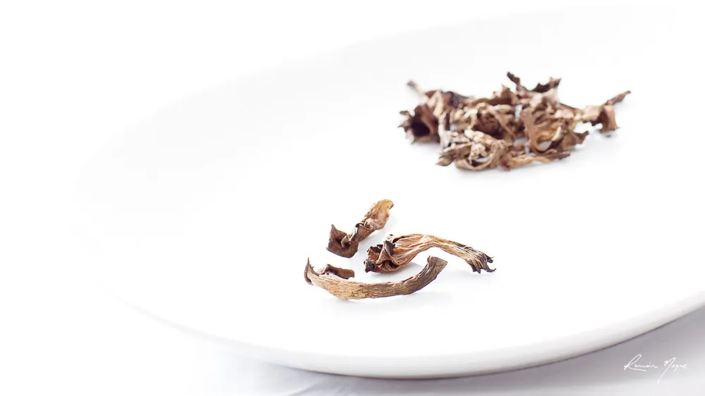 Trompettes de la mort séchées sur une assiette blanche